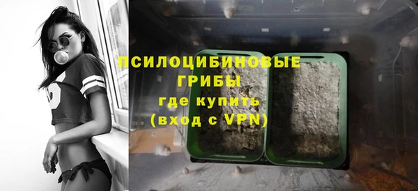дживик Кинешма