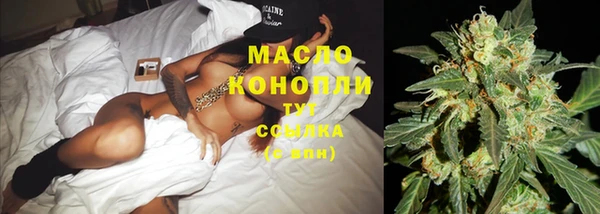 соль ск Козельск
