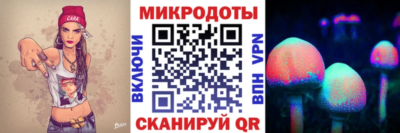 Купить закладки  Рошаль  Псилоцибиновые грибы MAGIC MUSHROOMS 